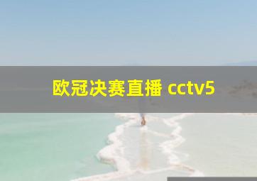 欧冠决赛直播 cctv5